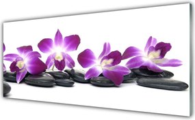 Panel Szklany do Kuchni Orchidea W Klimacie Spa