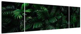 Obraz - Paprocie tropikalne (170x50 cm)
