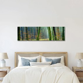 Obraz lasu (170x50 cm)