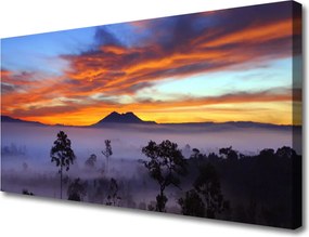 Fotoobraz na płótnie Las we Mglisty Poranek