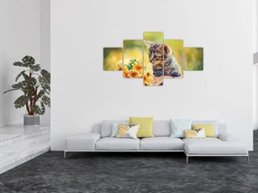 Obraz kotka patrzącego na kwiat (125x70 cm)