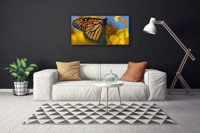 Obraz canvas na ścianę Kolorowy Motyl na Kwiatku