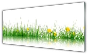 Panel Szklany Natura Trawa Kwiaty
