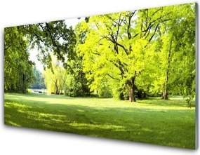 Panel Szklany Parkowa Aleja w Słońcu