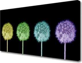 Obraz na płótnie Puszysta Kula Mniszka