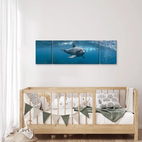 Obraz - Delfin pod wodą (170x50 cm)