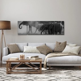 Obraz słoni - czarno - biały (170x50 cm)