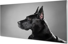 Panel szklany do Kuchni Elegancki Czarny Pies