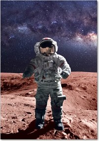 Foto obraz szkło akryl pionowy Astronauta