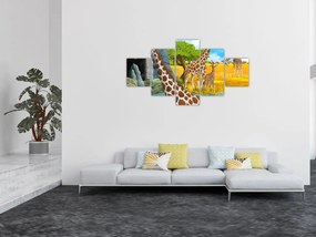 Obraz - Rodzina żyraf (125x70 cm)