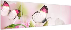 Obraz - Motyl (170x50 cm)