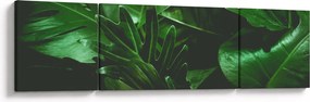 Obraz - Liście palmowe (170x50 cm)