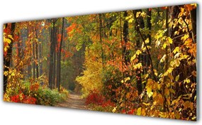 Panel Szklany Złota Jesień w Lesie