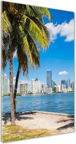 Foto obraz szkło akryl pionowy Miami