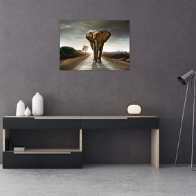 Obraz na szkle słonia (70x50 cm)