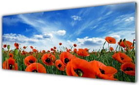 Panel Szklany Czerwone Maki w Blasku Słońca