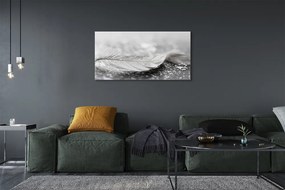 Obraz canvas na ścianę Delikatne Krople na Piórku
