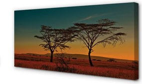 Duży obraz na płótnie Drzewa na Tle Nieba