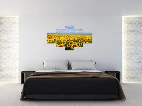 Obraz pola słoneczników (125x70 cm)