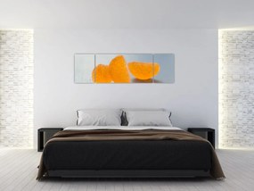 Obraz mandarynek (170x50 cm)