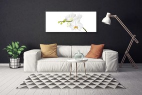 Obraz canvas Egzotyczna Elegancja Orchidei