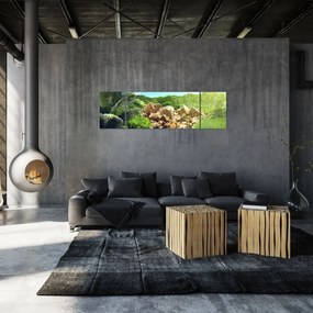 Obraz jeziora w dżungli Seszeli (170x50 cm)