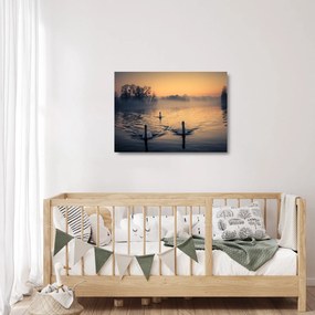 Obraz na szkle - łabędzie na wodzie we mgle (70x50 cm)
