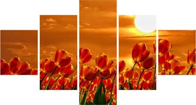 Obraz kwitnącego pola z tulipanami (125x70 cm)