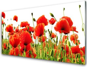 Panel Szklany Dzika Łąka Makowa
