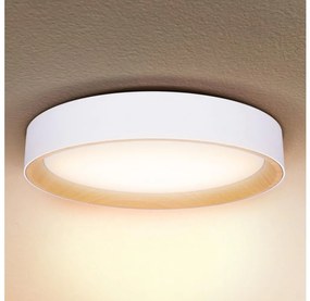 Brilagi -Ściemnialne oświetlenie LED LARIOS LED/48W/230V 3000-6500K ø 39 cm biały+pilot