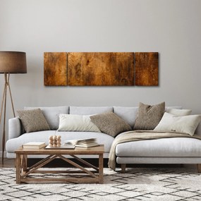 Obraz - Detal drewna (170x50 cm)