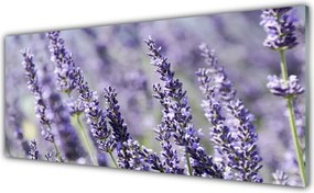 Panel Szklany Natura W Pełnym Rozkwicie