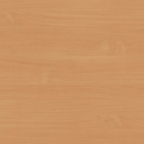 Garderoba z wieszakami HORIZONT, 4 haczyki, półka, tekstura drewna poziomo, buk