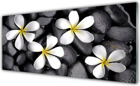 Szkło Ozdobne do Kuchni Pastelowe Kwiaty W Rozkwicie