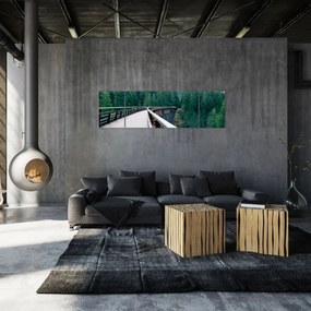 Obraz - Most do wierzchołków drzew (170x50 cm)