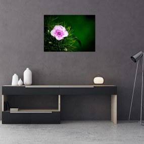 Obraz kwiatu róży (70x50 cm)