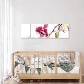 Obraz kwiatu orchidei (170x50 cm)