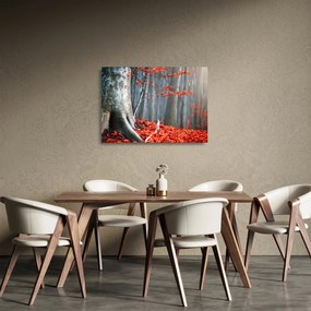 Obraz na szkle - Jesień (70x50 cm)