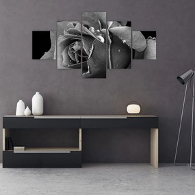 Obraz róży - czarno - biały (125x70 cm)