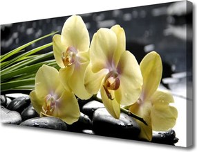 Obraz na płótnie Pełnia Kwiatowego Rozkwitu