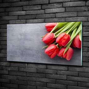 Foto obraz szklany Czerwone tulipany