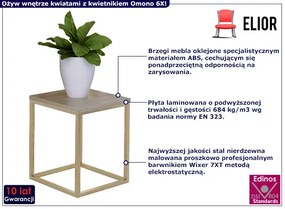 Stojak na kwiaty z metalowym stelażem złoty + dąb sonoma - Omono 6X