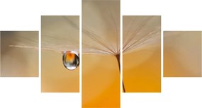Obraz - Makro kwiat (125x70 cm)