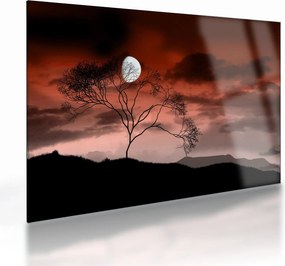 Obraz na szkle - Księżyc oświetlający noc (70x50 cm)