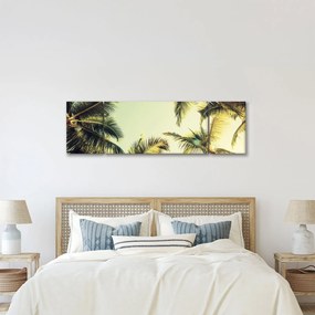 Obraz z palmami kokosowymi (170x50 cm)