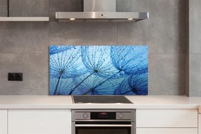 Panel szklany do Kuchni Puszyste Dmuchawce z Rosą