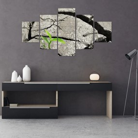 Obraz - Pęknięcia (125x70 cm)