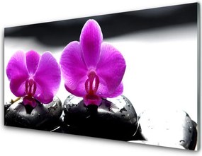 Szkło do Kuchni na Ścianę Szlachetny Kwiat Orchidei