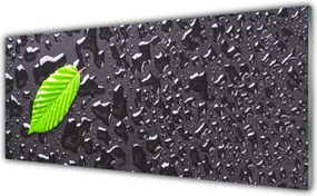 Szkło do Kuchni na Ścianę Rosa Na Młodym Liściu