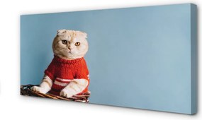 Fotoobraz na płótnie Portret Siedzącego Kota